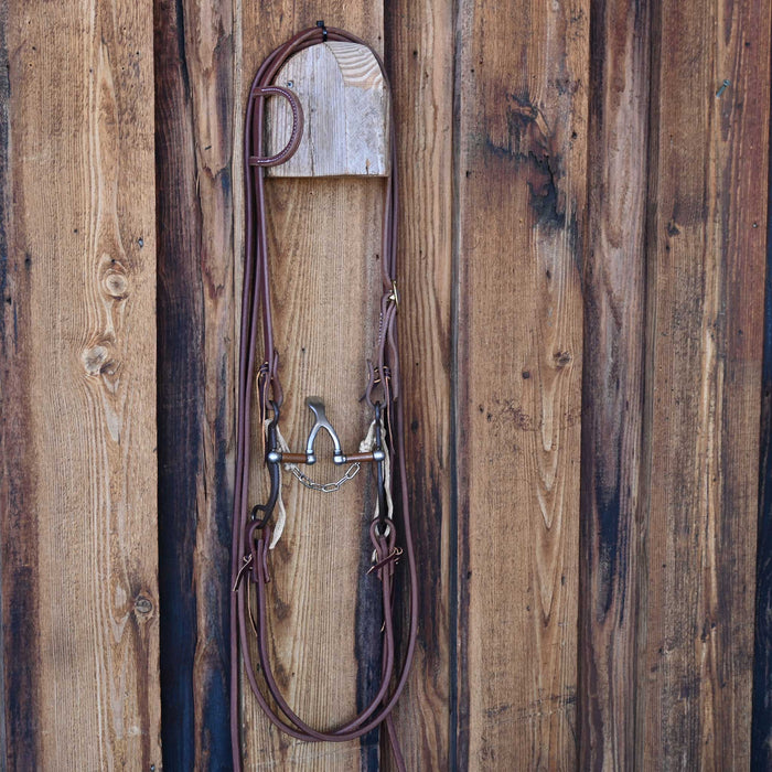 Kerry Kelley 65 Cathedral Bridle Rig w/All New Leather