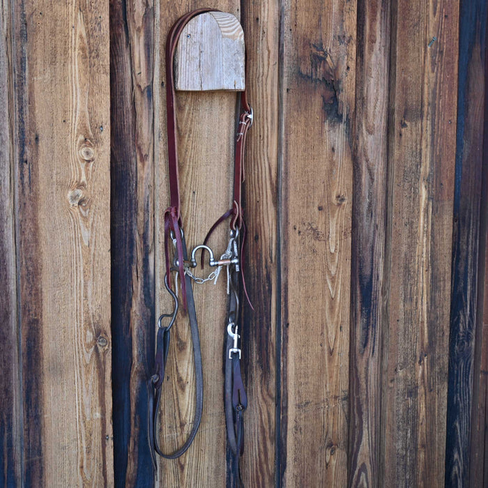 Kerry Kelley 10 20 Correction Bridle Rig w/Split Ear Headstall