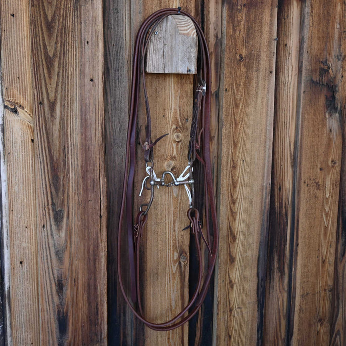 Kerry Kelley 50 A.D. Correction Bridle Rig w/Split Ear Headstall