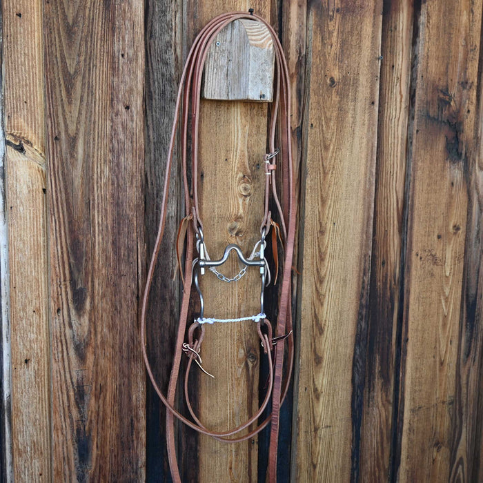 Kerry Kelley 10 V-Port Bridle Rig w/All New Leather