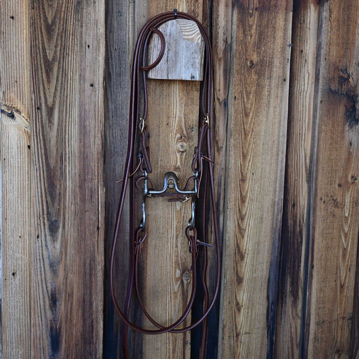Brandon Anthony Solid Port Bridle Rig w/All New Leather