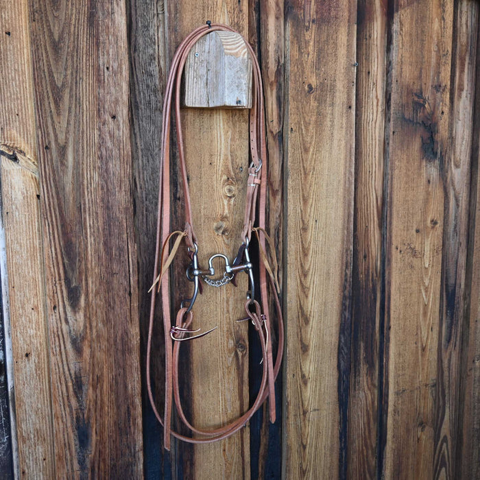 Kerry Kelley 50 Correction Bridle Rig w/All New Leather