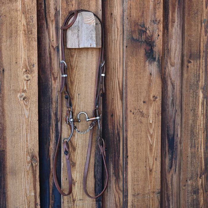 Kerry Kelley 65 20 Correction Bridle Rig w/Single Ear Headstall