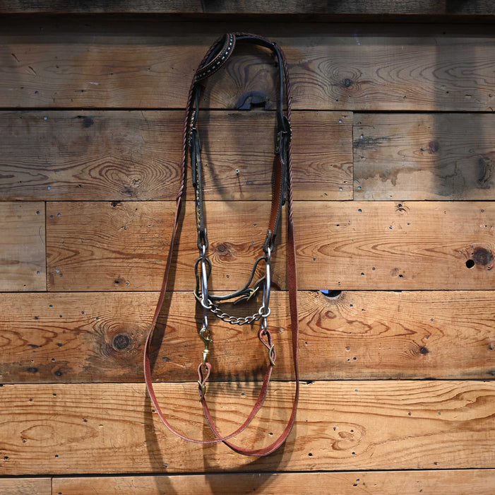 Chain Bridle Rig w/ Single Ear Headstall