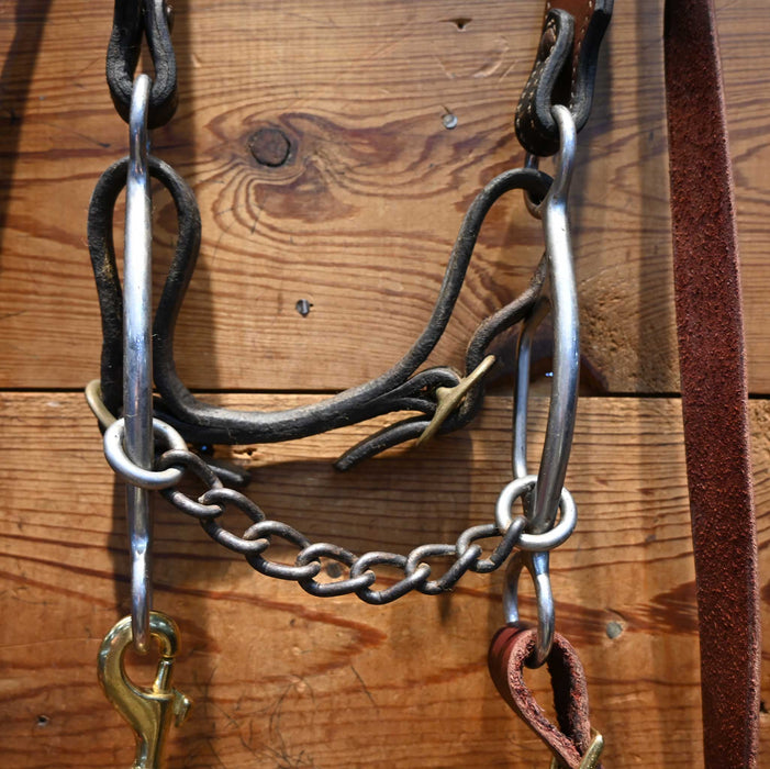Chain Bridle Rig w/ Single Ear Headstall