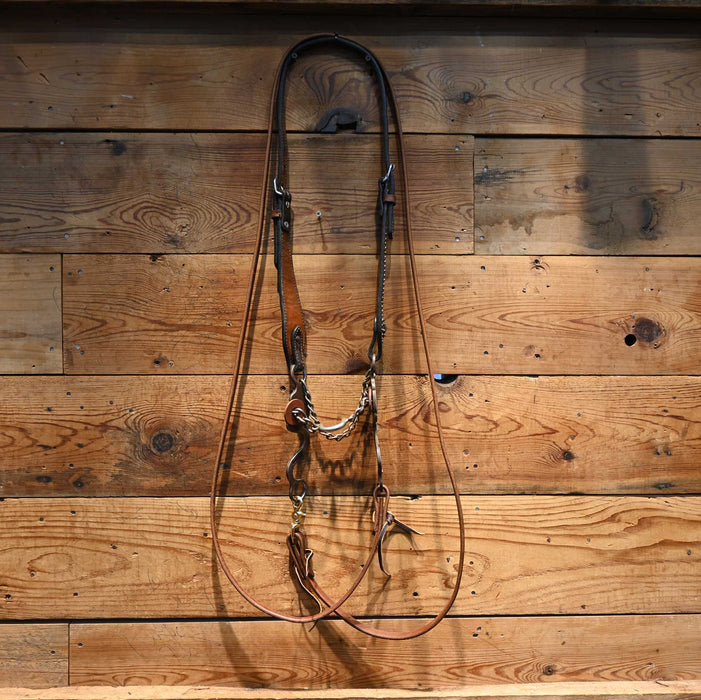 Blessing Ported Chain Bridle Rig w/ Split Ear Headstall