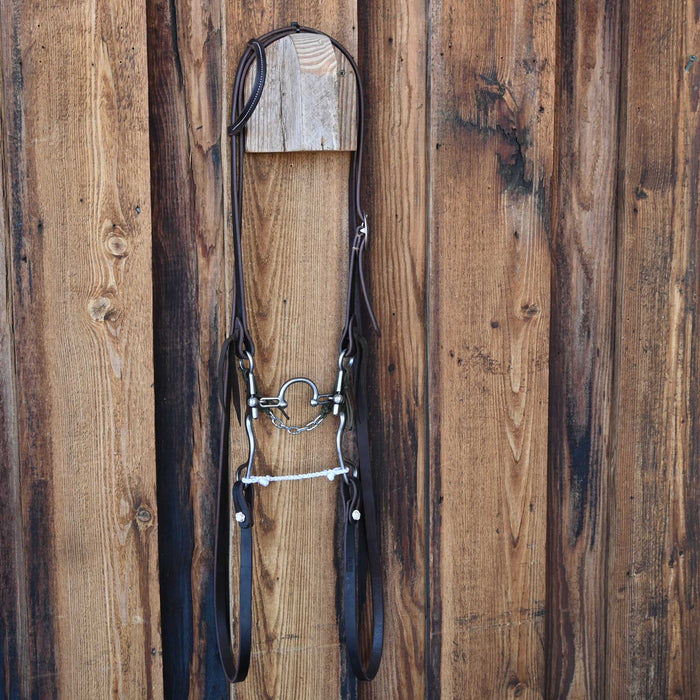 Kerry Kelley 02S Ported Chain Bridle Rig w/Single Ear Headstall