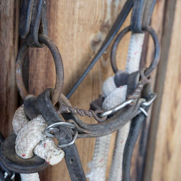 Headstalls & Rigs