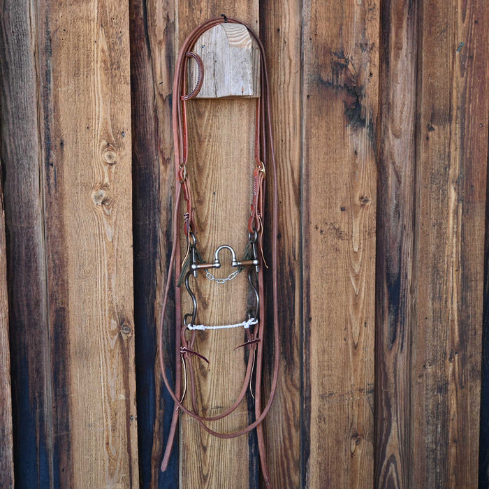 Kerry Kelley 10 Welded 20 Correction Bridle Rig w/All New Leather