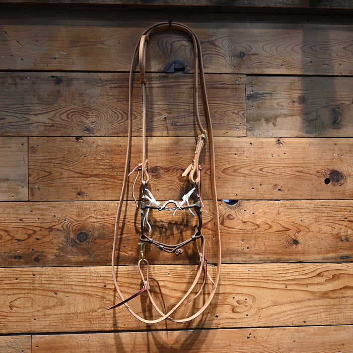 3R Ported Chain Bridle Rig w/ Single Ear Headstall