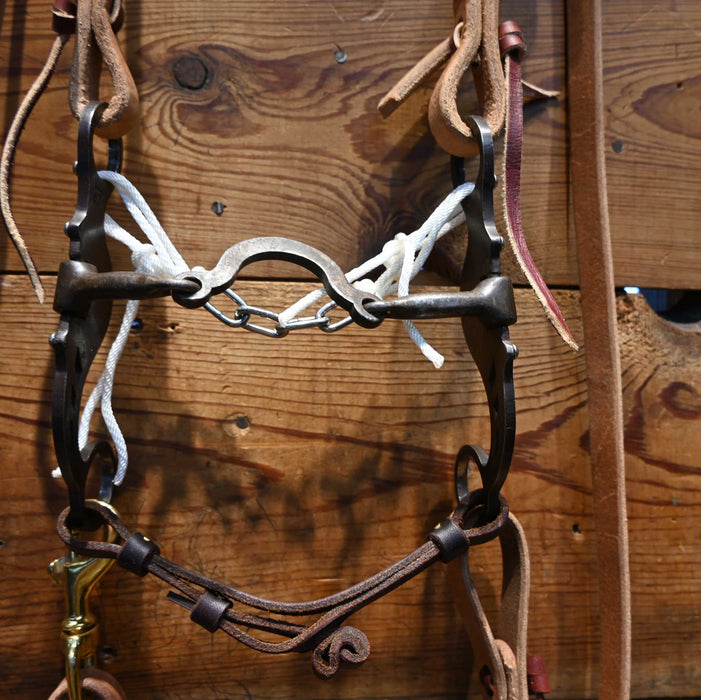 3R Ported Chain Bridle Rig w/ Single Ear Headstall