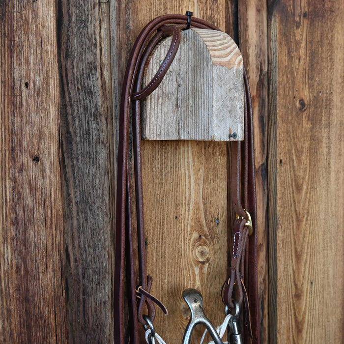 Cathedral Bridle Rig w/All New Leather Tack - Rigs misc