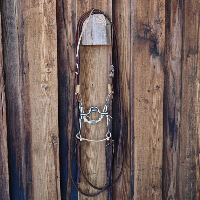 Kerry Kelley Silver Mounted 02S Johnny Bridle Rig w/All New Leather