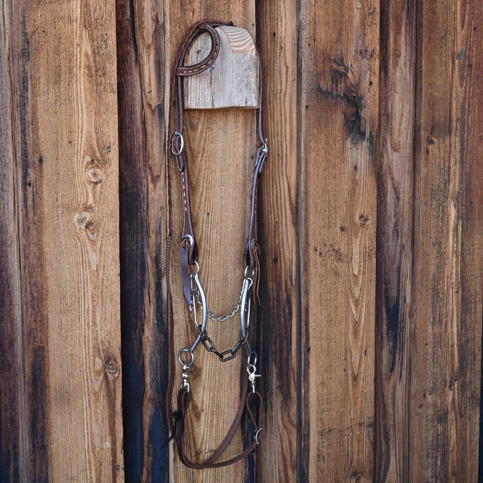 Trammell Chain Gag Bridle Rig w/All New Leather Tack - Rigs Trammell