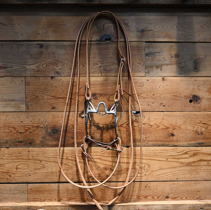 Josh Ownbey Correction Bridle Rig w/ Split Ear Headstall