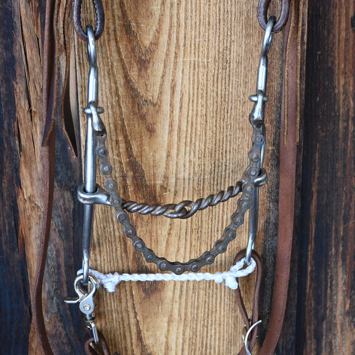 Reinsman Twisted Wire Snaffle Gag Bridle Rig w/All New Leather Tack - Rigs Reinsman