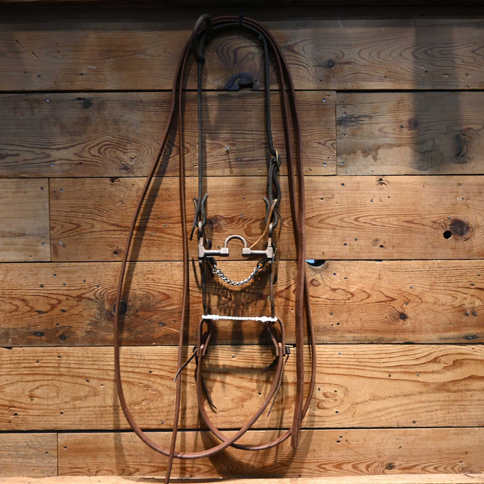 Correction Bridle Rig w/ Single Ear Headstall