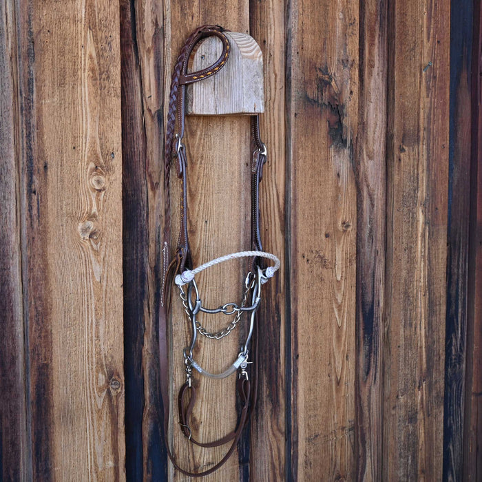 Lifesaver Gag Bridle Rig w/Single Ear Headstall