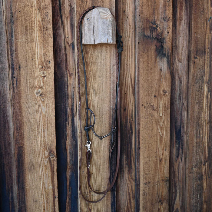 Sliding Gag Bridle Rig w/Braided Leather Barrel Reins