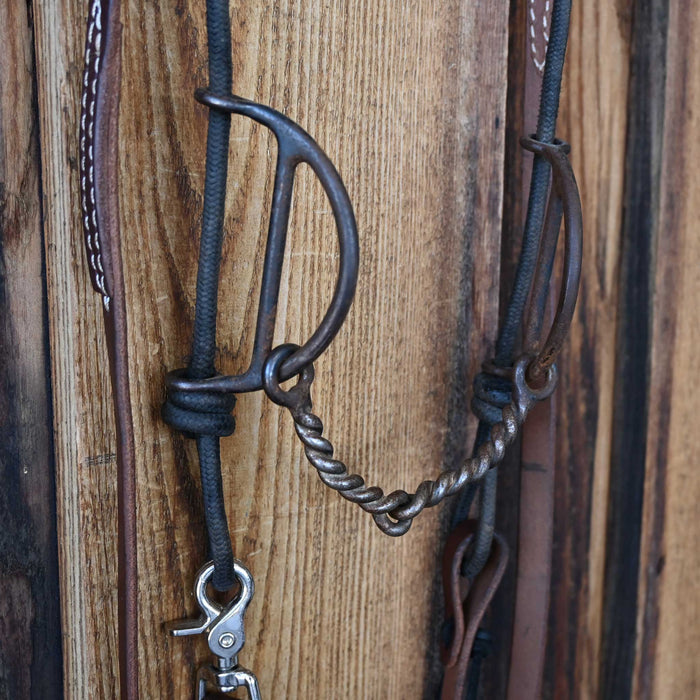 Sliding Gag Bridle Rig w/Braided Leather Barrel Reins