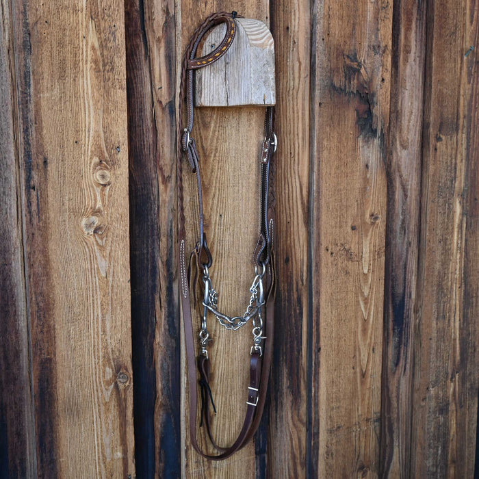 Reinsman Lifesaver Bridle Rig w/All New Leather