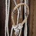 Levi Jones Hackamore w/Leather Browband Tack - Nosebands & Tie Downs Levi Jones