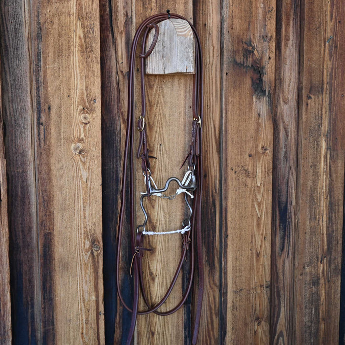 Dutton Solid Port Bridle Rig w/All New Leather