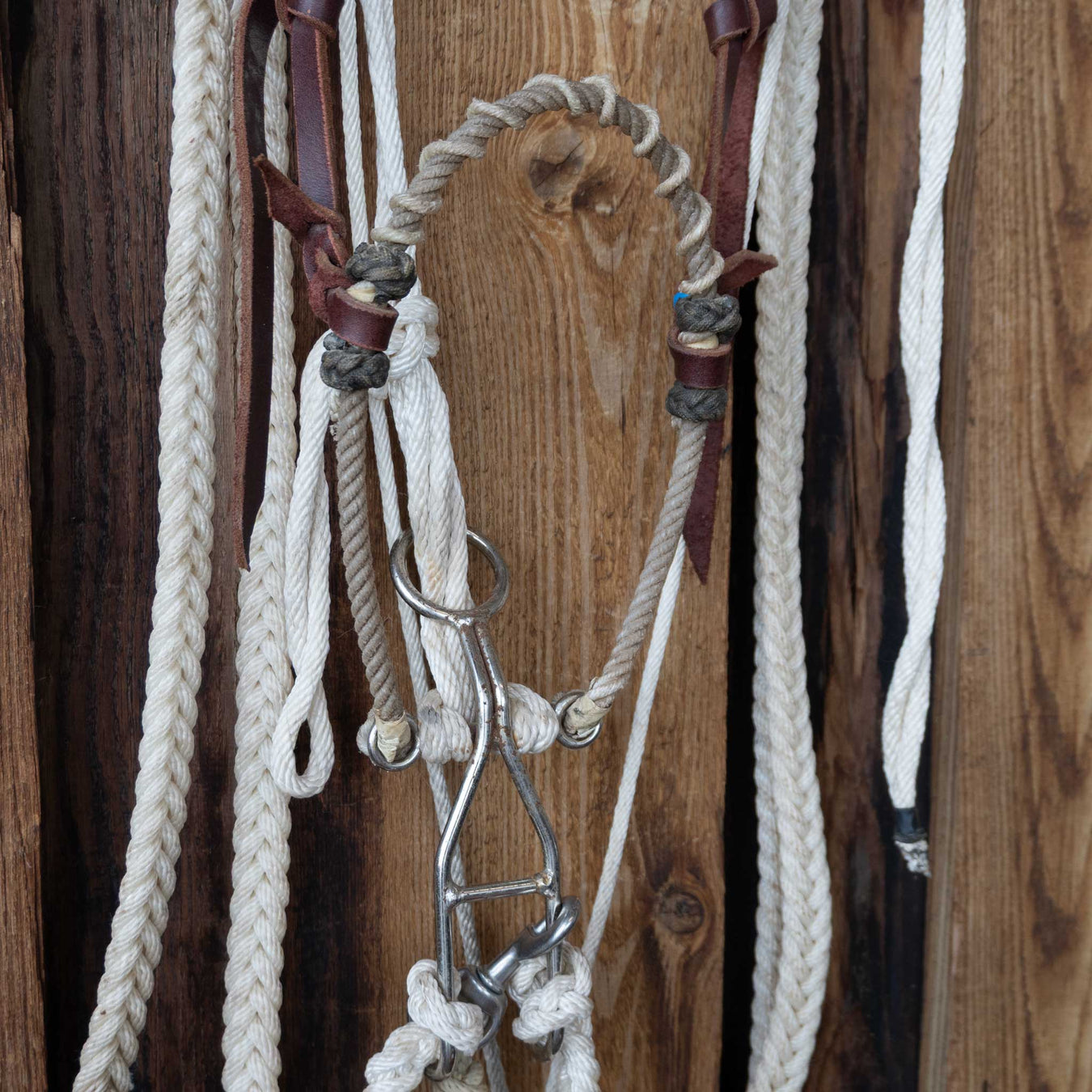 Quick Stop Hackamore w/Lariat Browband Headstall Tack - Nosebands & Tie Downs MISC