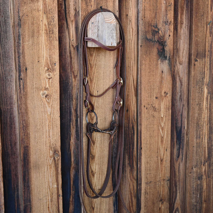 D-Ring Dogbone Bridle Rig w/Browband Headstall