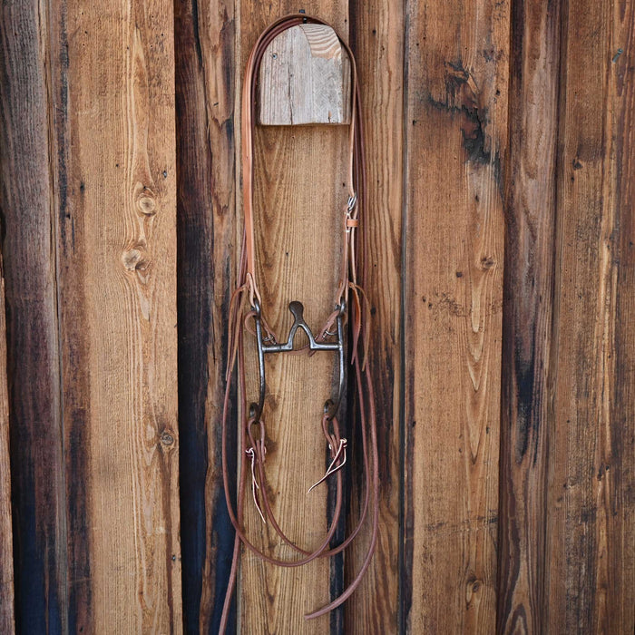 Kerry Kelley Cathedral Bridle Rig w/Split Ear Headstall