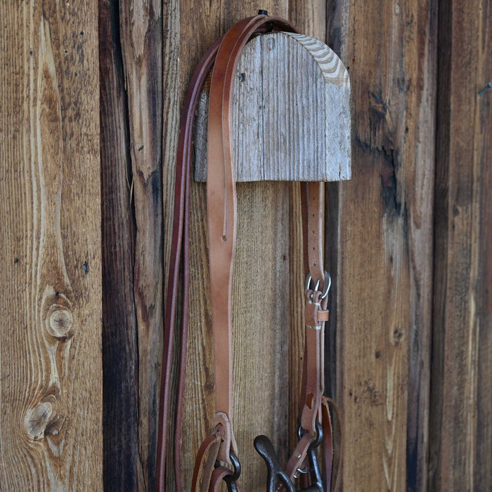 Kerry Kelley Cathedral Bridle Rig w/Split Ear Headstall