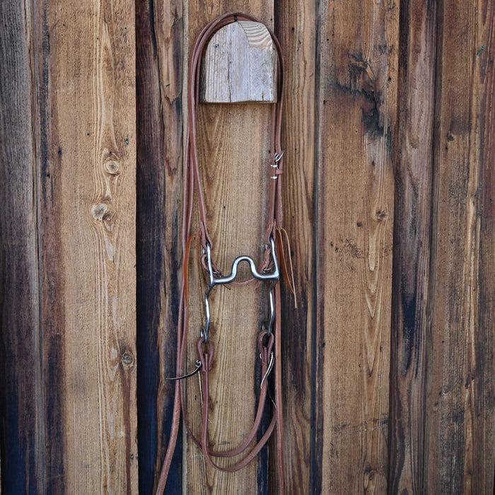 Ricky Trammell Solid Port Bridle Rig w/All New Leather