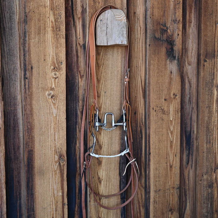 Ricky Trammell Correction Bridle Rig w/All New Leather