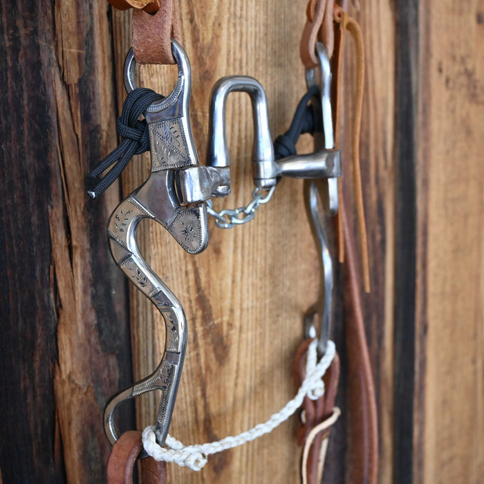 Ricky Trammell Correction Bridle Rig w/All New Leather