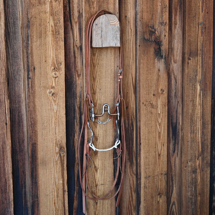 Josh Ownbey Solid Port Bridle Rig w/All New Leather