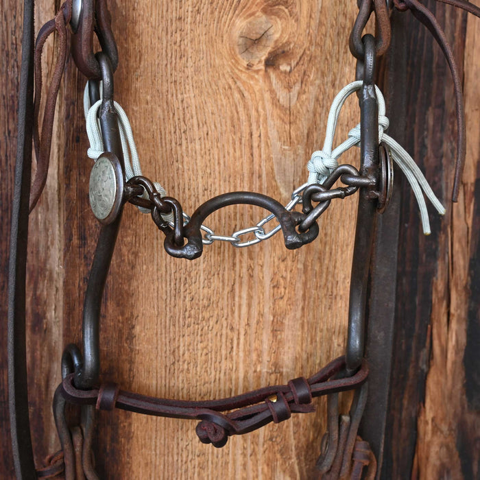 Ported Chain Bridle Rig w/Split Ear Headstall