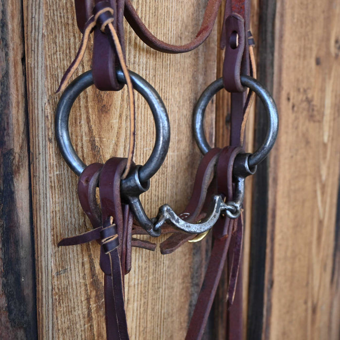 Rod Teuscher O-Ring 3pc. Bridle Rig w/All New Leather