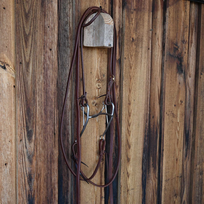 Mullen Bridle Rig w/All New Leather Tack - Rigs misc