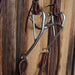 Mullen Bridle Rig w/All New Leather Tack - Rigs misc