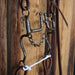 Solid Port Bridle Rig w/All New Leather Tack - Rigs misc