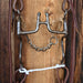 Solid Port Bridle Rig w/All New Leather Tack - Rigs misc