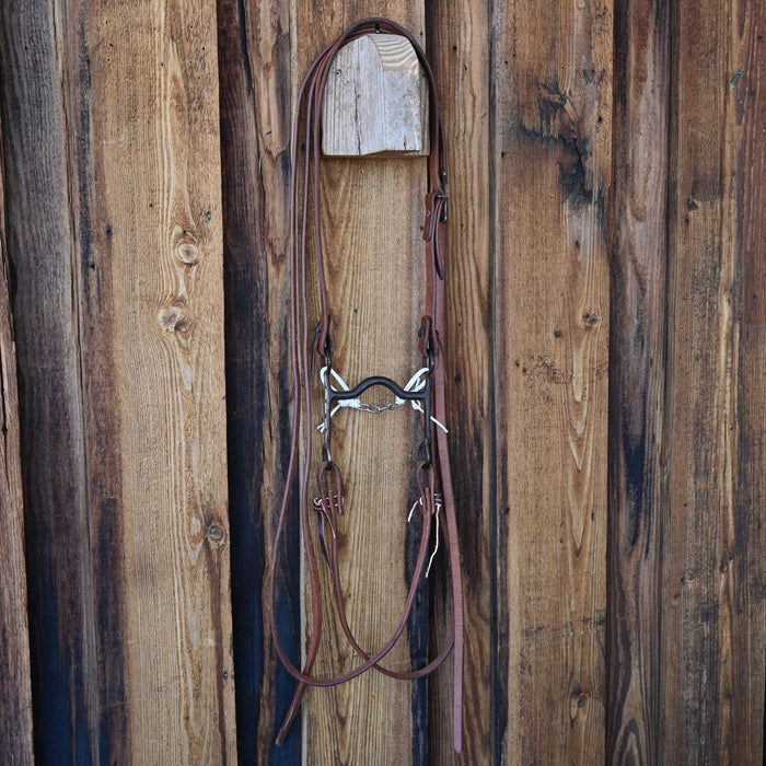 Solid Port Bridle Rig w/All New Leather