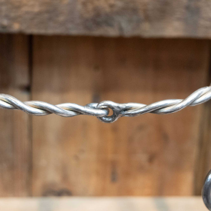 Schoneberg Cam 4" Twisted Wire Snaffle Bit