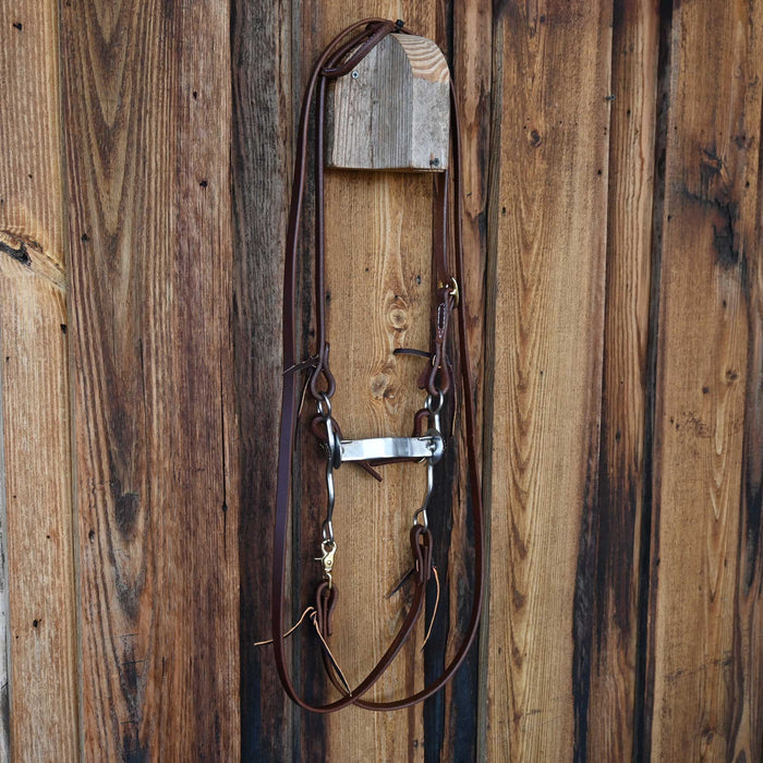 Bridle Rig w/All New Leather Tack - Rigs misc