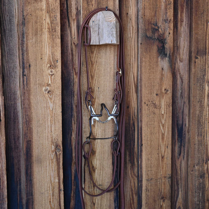 Daryl Davis Cathedral Bridle Rig w/All New Leather