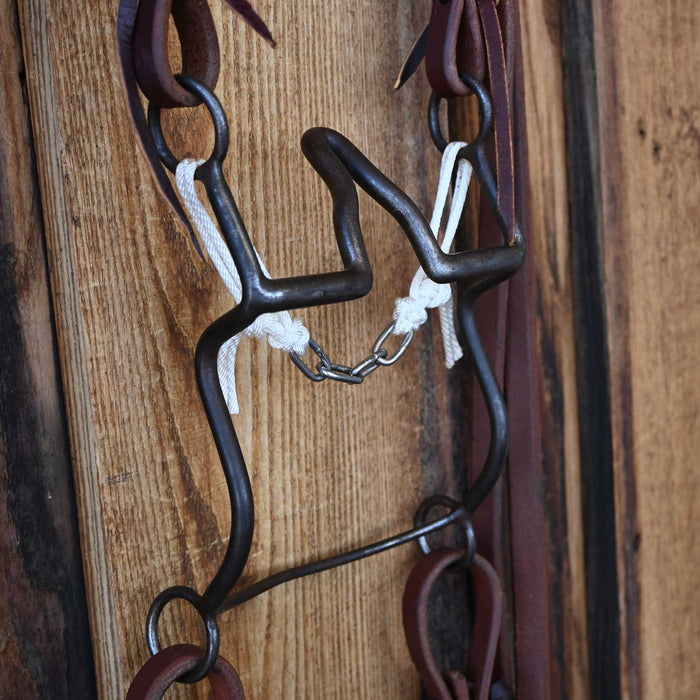 Daryl Davis Cathedral Bridle Rig w/All New Leather