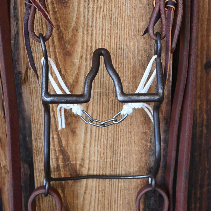 Daryl Davis Cathedral Bridle Rig w/All New Leather