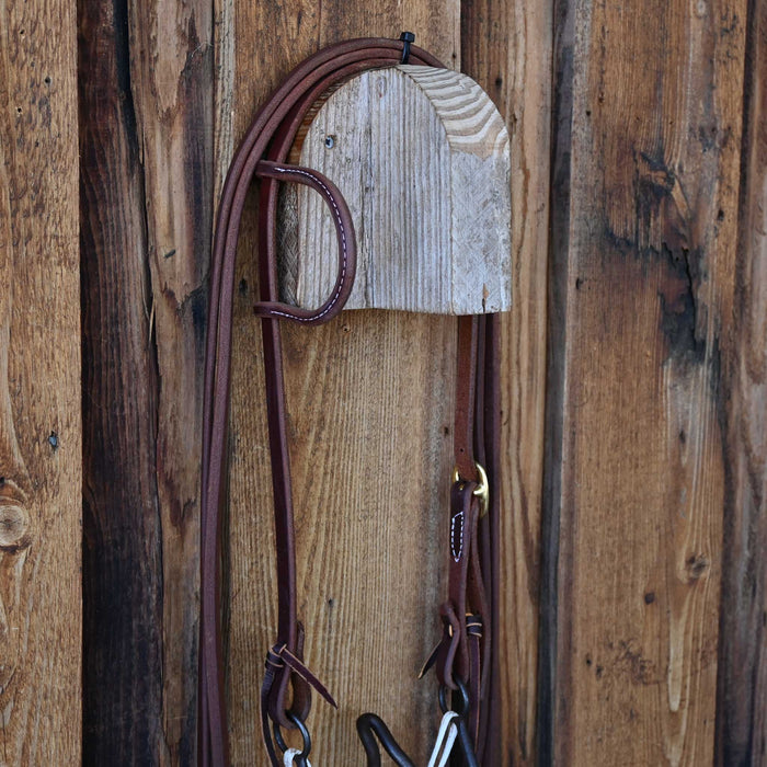 Daryl Davis Cathedral Bridle Rig w/All New Leather