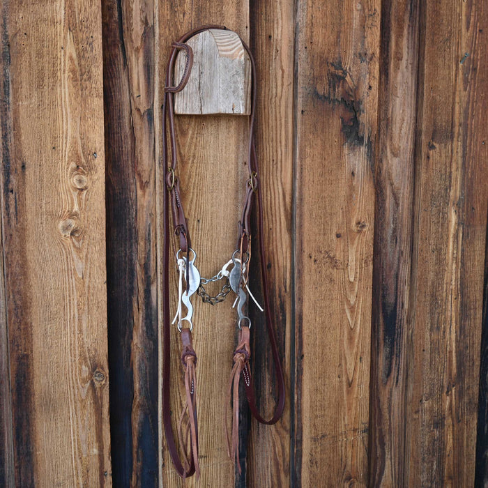Reinsman Chain Bridle Rig w/Single Ear Headstall