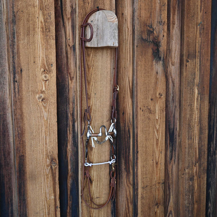 Correction Bridle Rig w/Single Ear Headstall